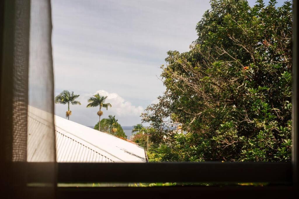 New Paddler'S Inn- 3Br Hilo Downtown Екстер'єр фото